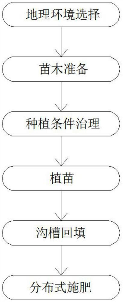 A kind of selenium-enriched high-quality rattan tea planting method