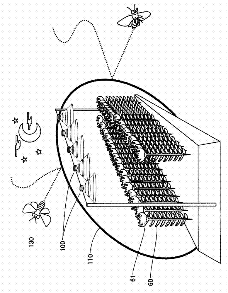 Plant cultivation method using illumination, insect-repelling lighting device, and insect-repelling lighting system