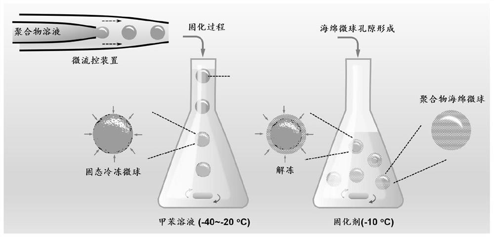 Polymer sponge microsphere and preparation method thereof