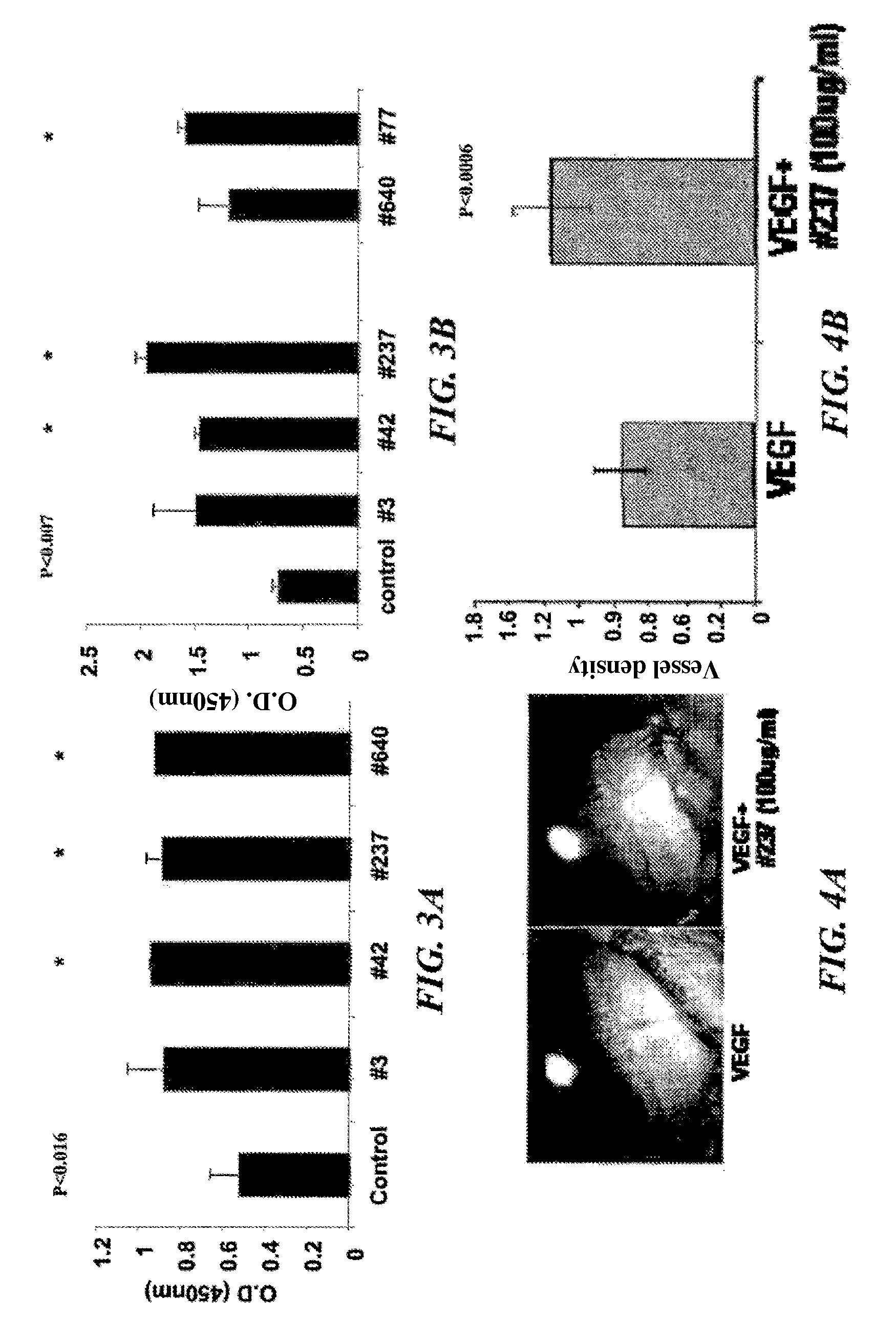Pro-angiogenic fragments of prominin-1 and uses thereof