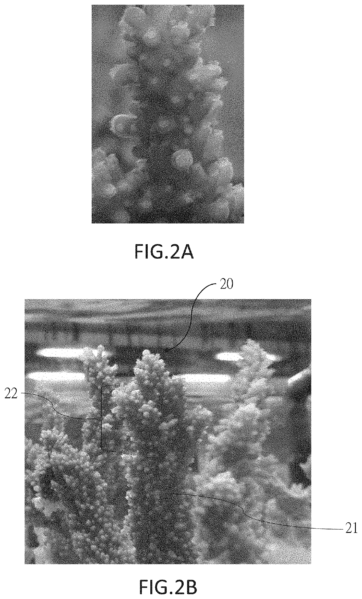 Coral farming method, system and product thereof