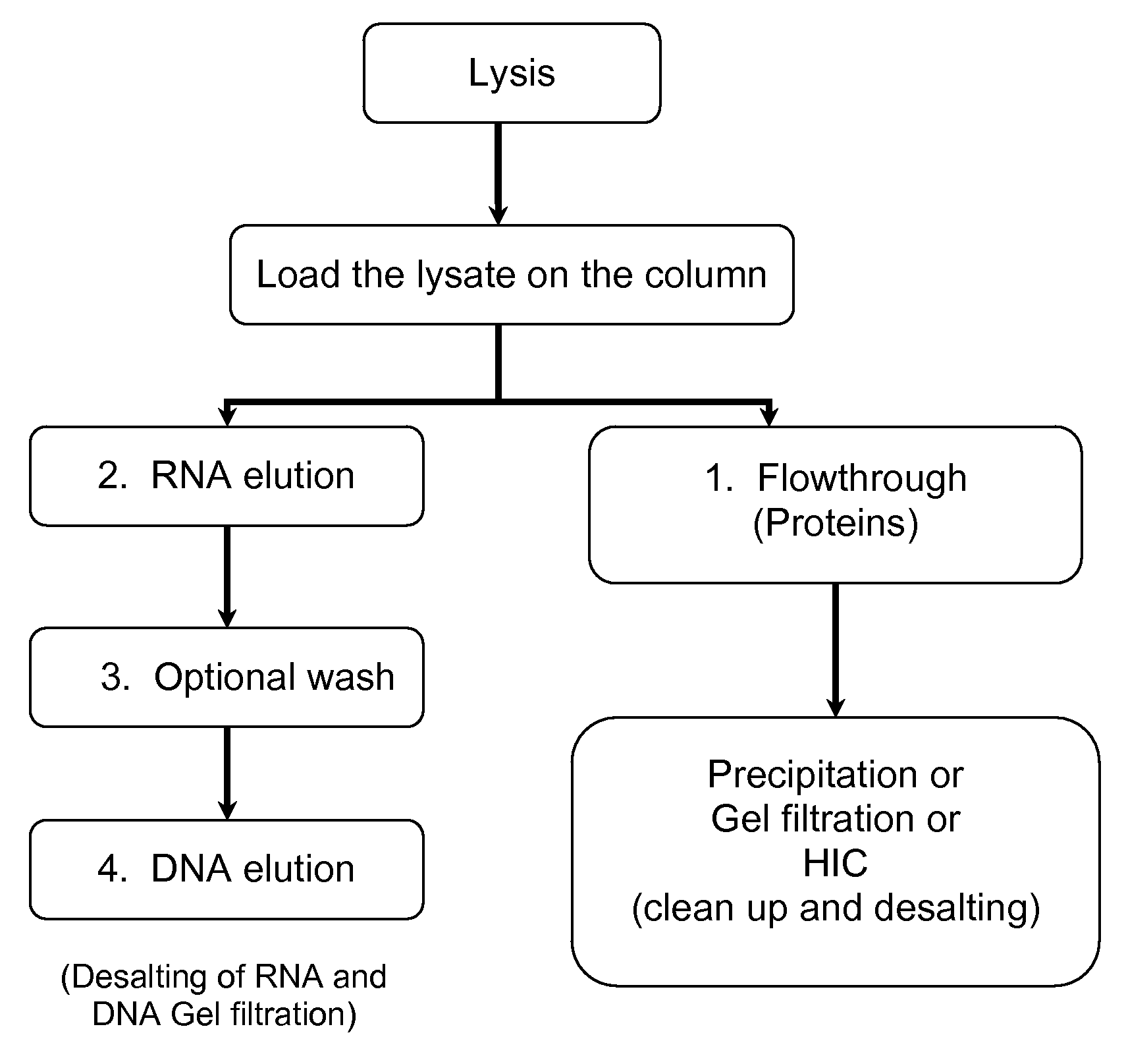 Isolation of dna, RNA and protein from a single sample