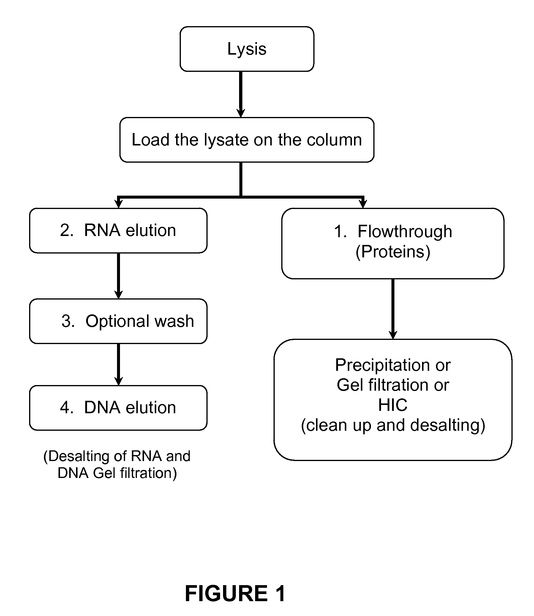 Isolation of dna, RNA and protein from a single sample