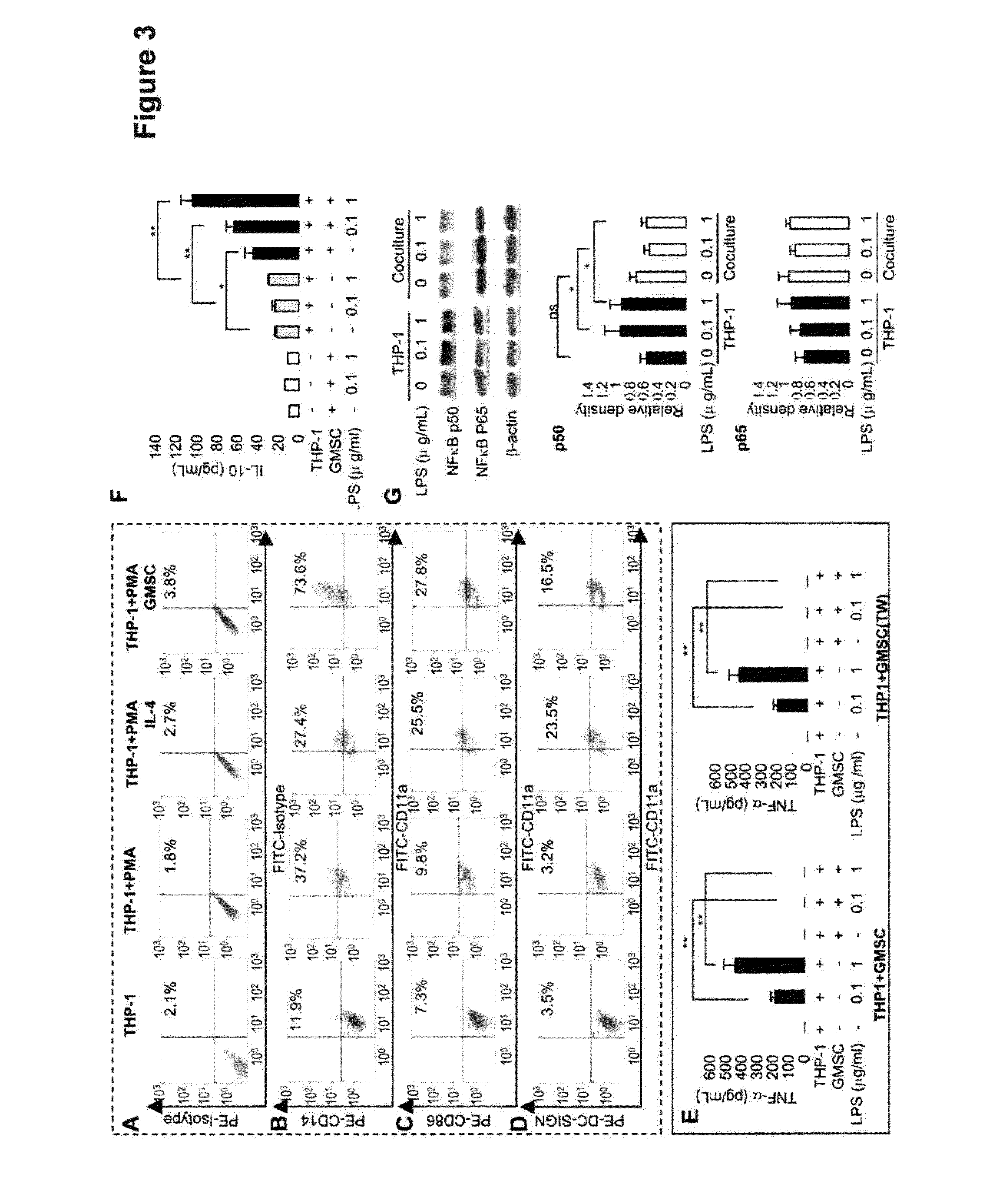 Pharmaceutical Compositions Comprising Gingiva A-Derived Mesenchymal Stem Cells and Methods of Treating Inflammation, Wound Healing and Contact Hypersensitivity