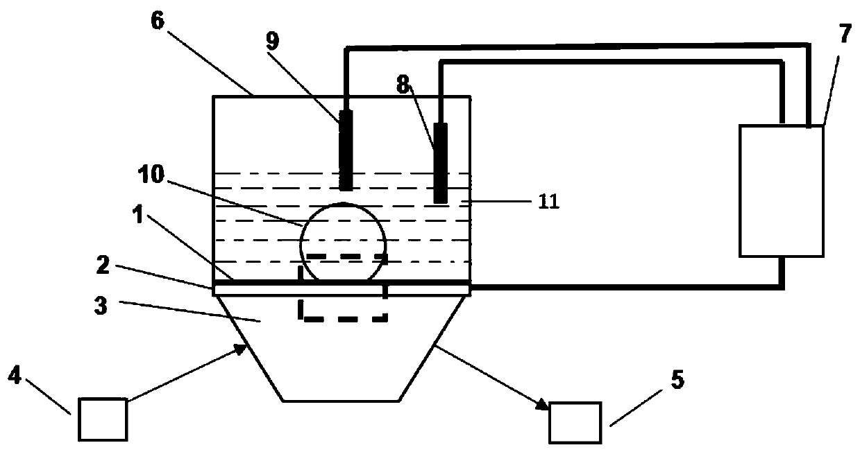 A device and method for observing bubble behavior on electrode surface