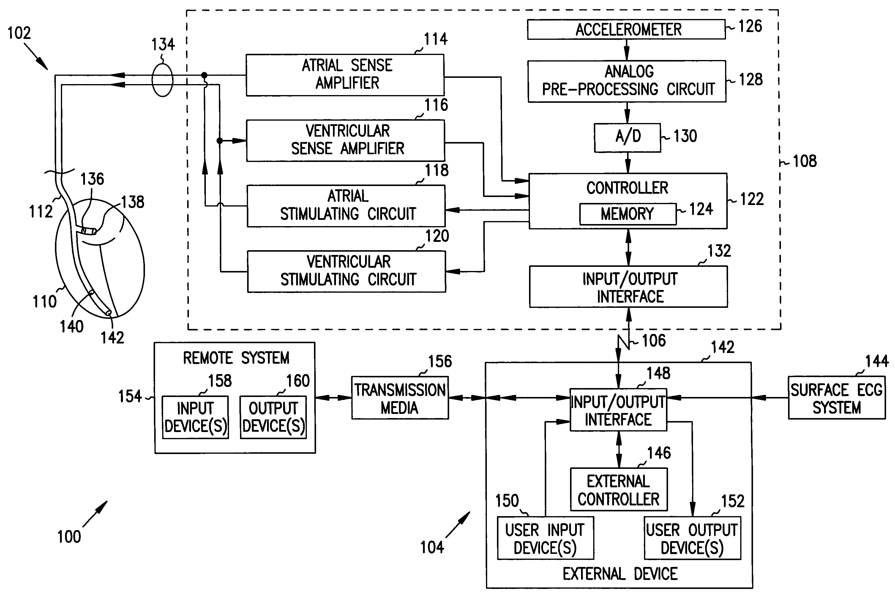 Apparatus and method for outputting heart sounds