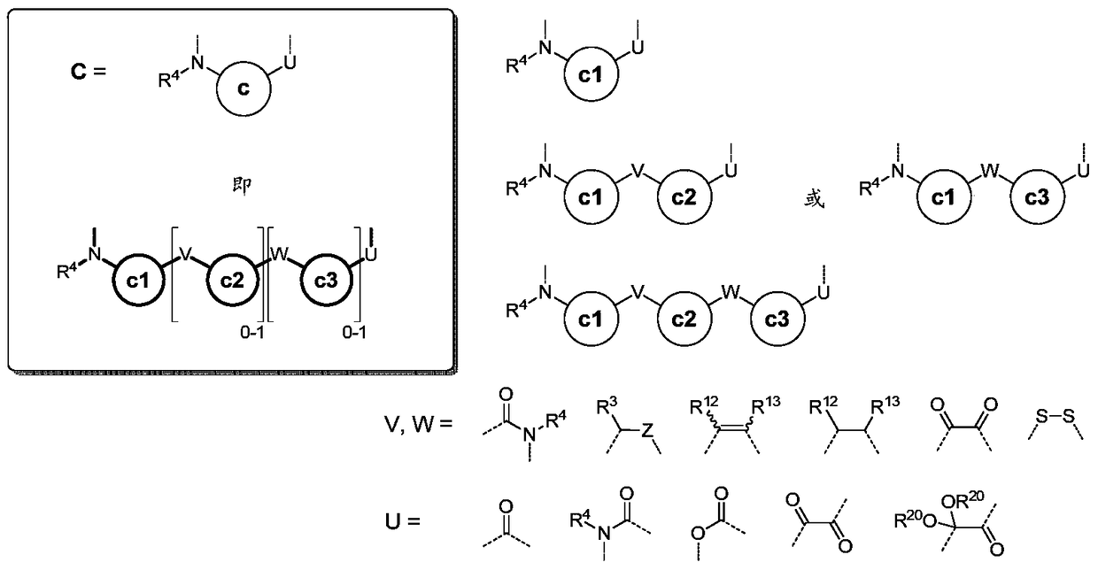 Fully synthetic macrocycles with constrained conformation