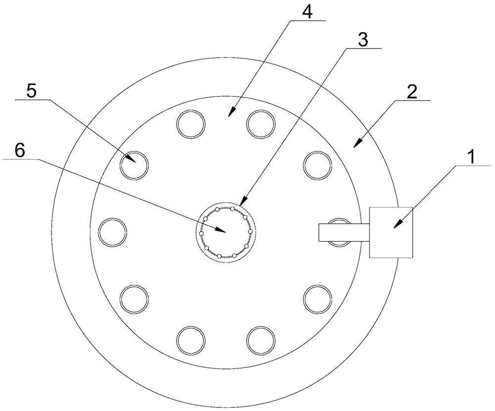 Rock and mineral detection device