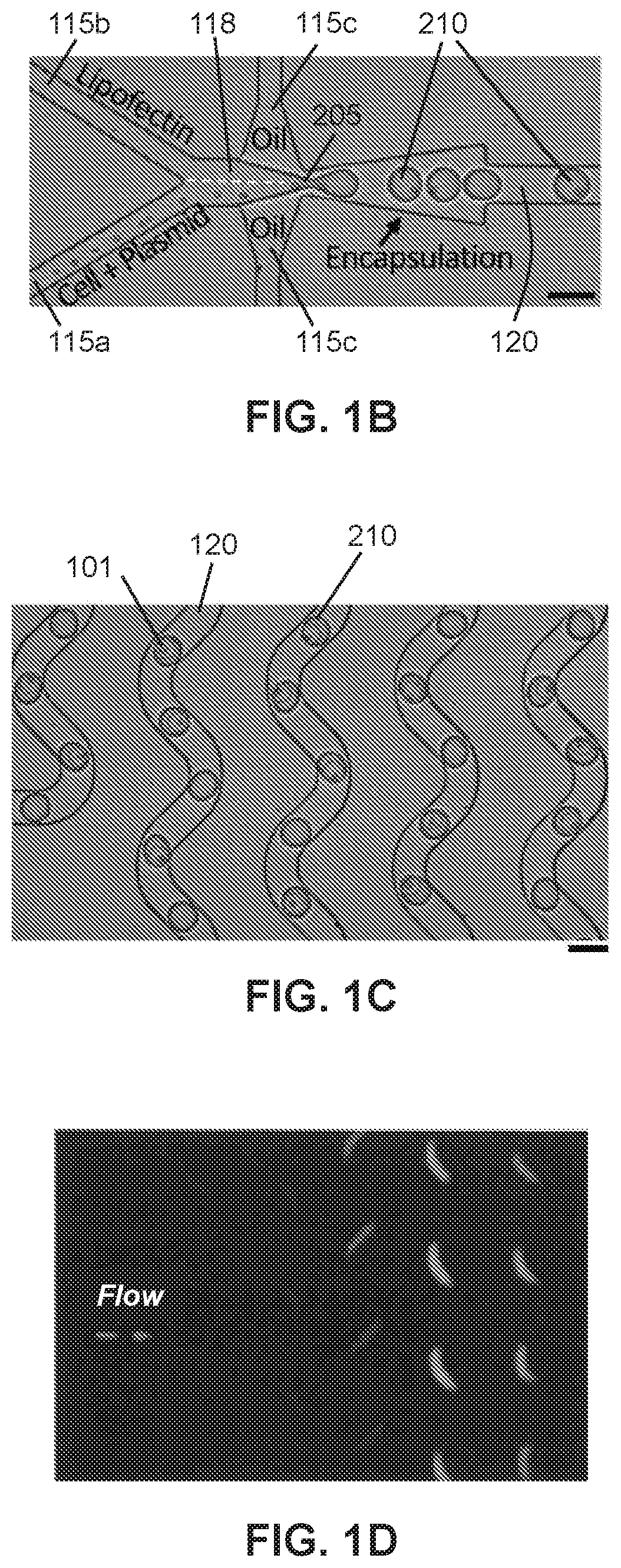 Microfluidic systems and methods for lipoplex-mediated cell transfection