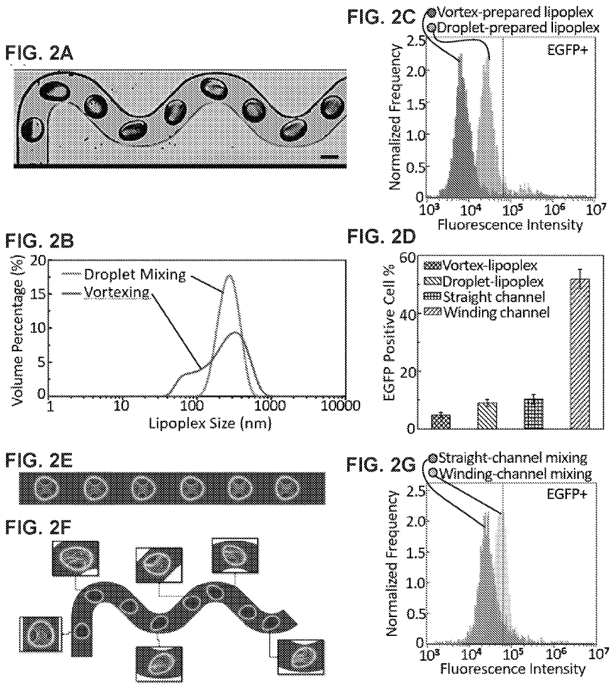 Microfluidic systems and methods for lipoplex-mediated cell transfection