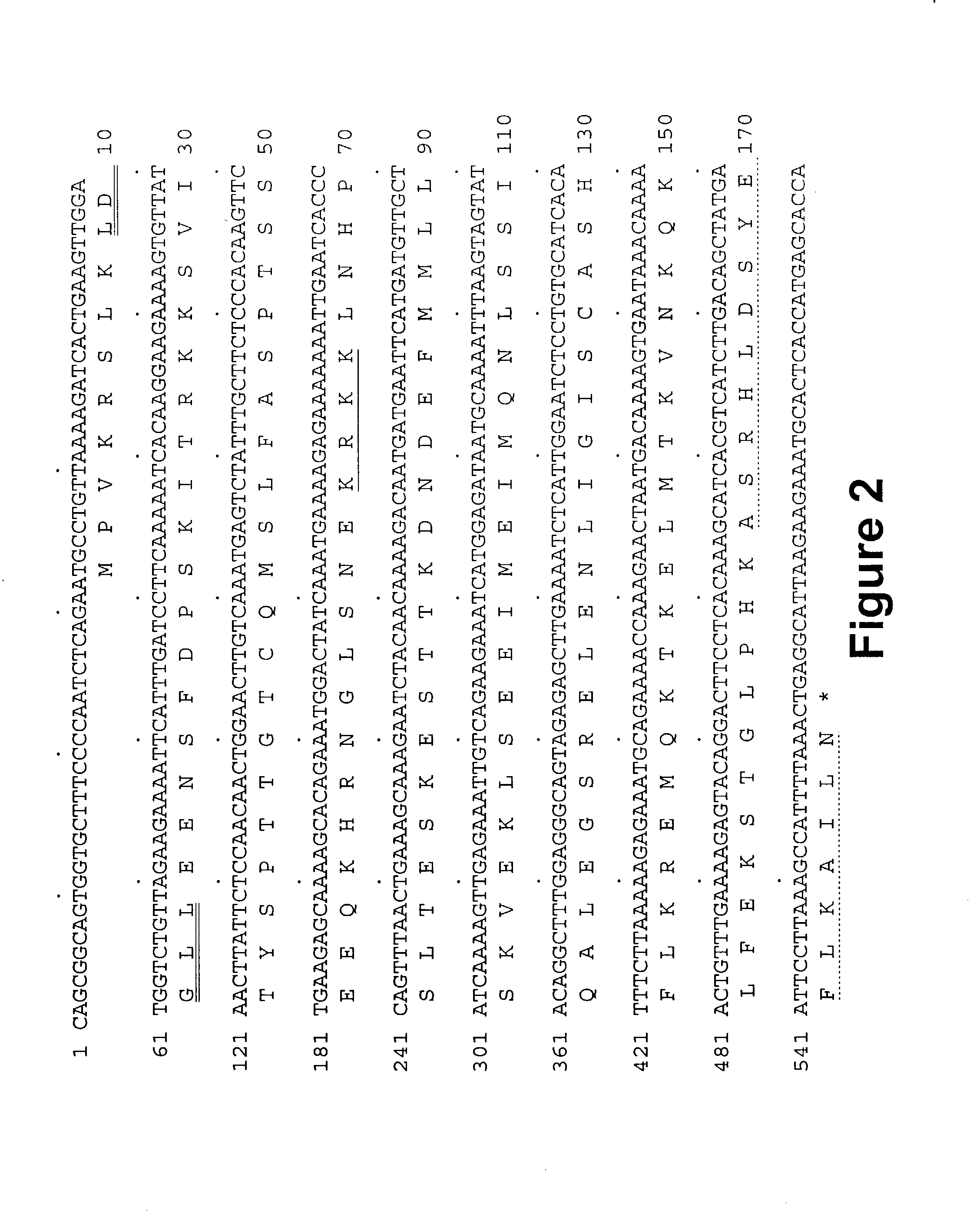 NRIF3, a novel co-activator for nuclear hormone receptors