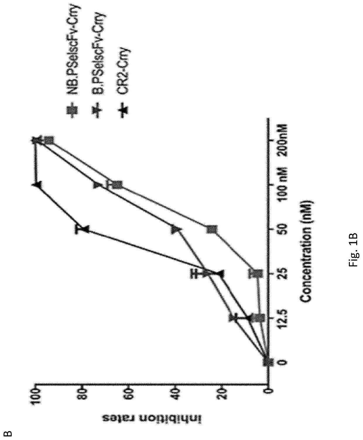 Recombinant Fusion Proteins Targeting P-selectin, and Methods of Use Thereof for Treating Diseases and Disorders