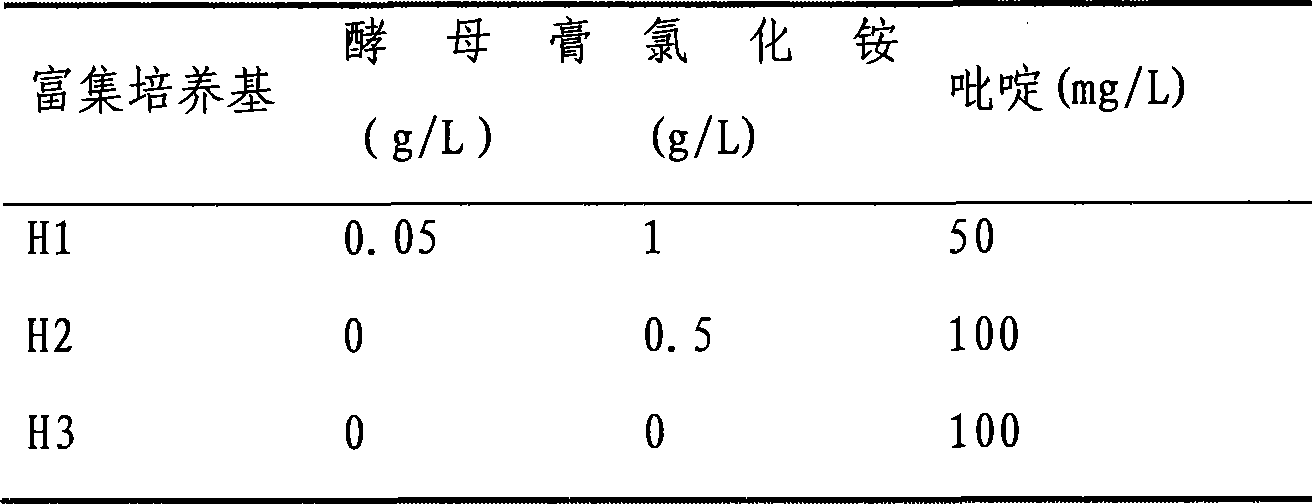 Method for rapidly screening oil refining wastewater bioflocculant-producing bacteria