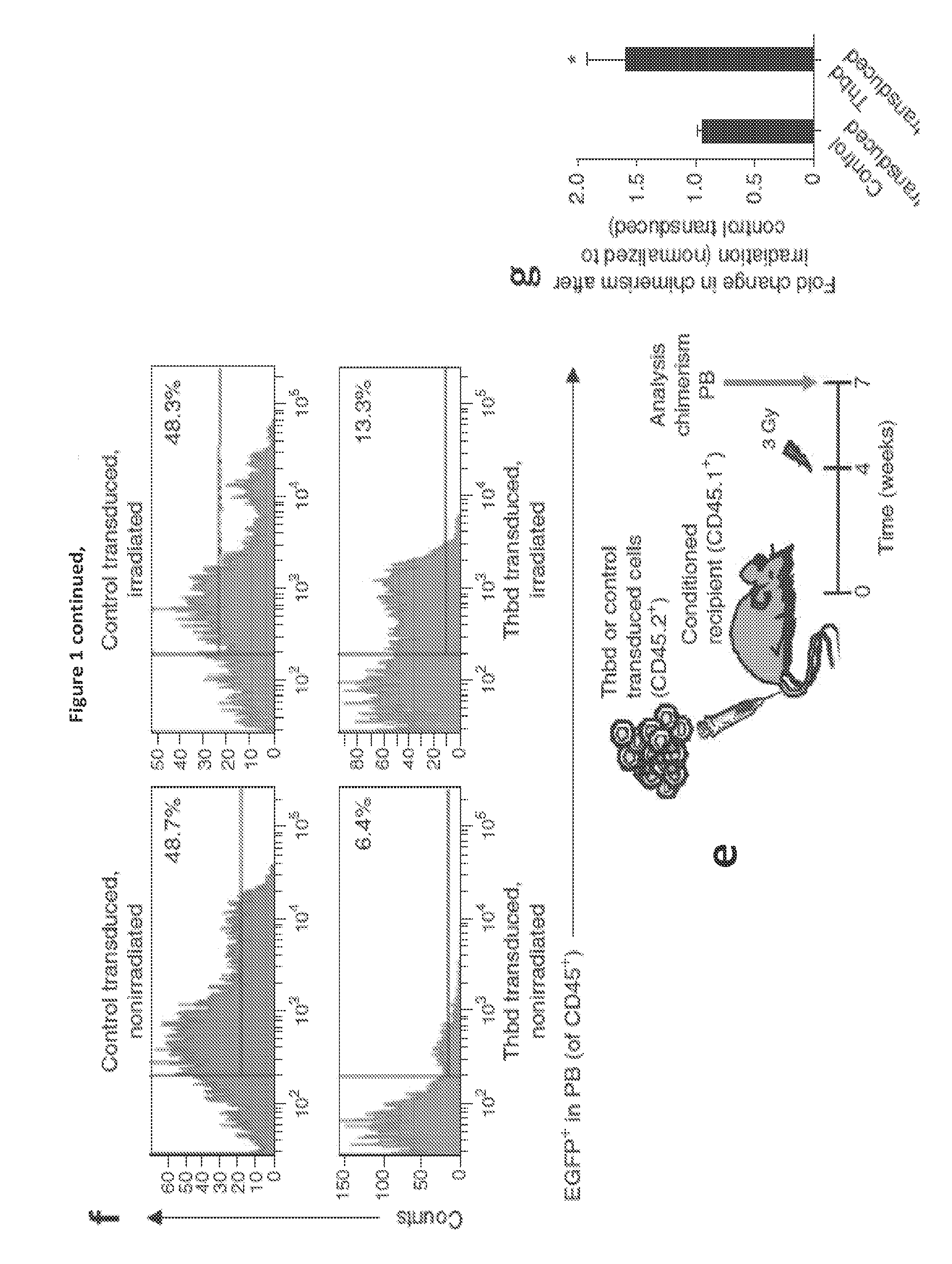 Methods for treating and preventing radiation injury using activated protein c polypeptides