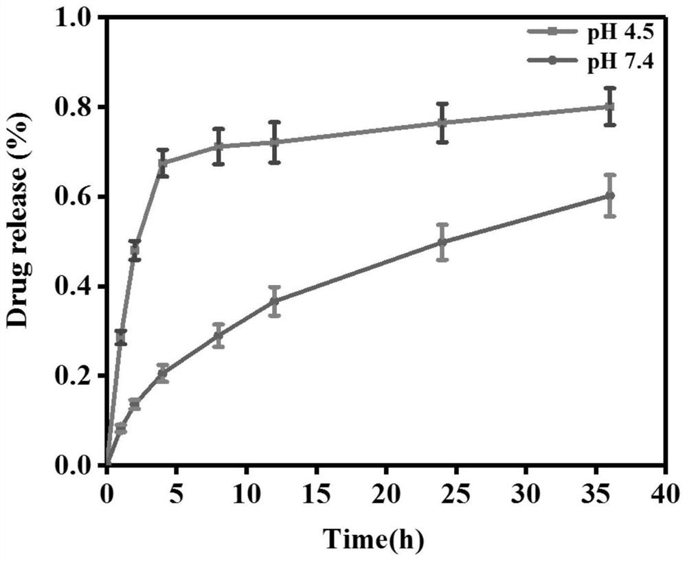 Preparation of an exosome-doxorubicin nano-targeted drug derived from bone marrow mesenchymal stem cells and its anti-osteosarcoma effect in vitro