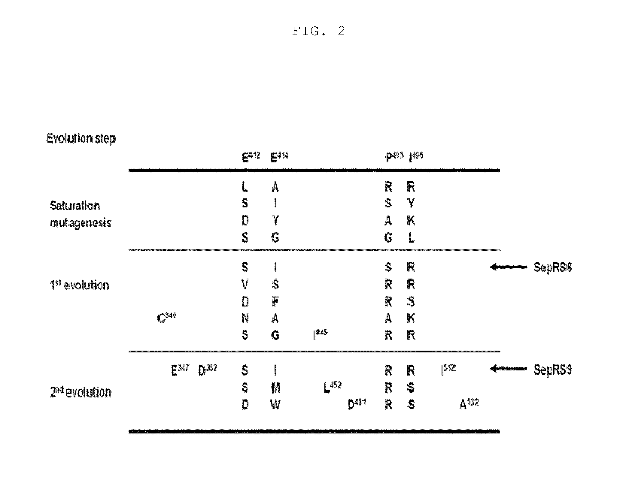 Method for producing phosphoserine incorporated proteins by using SepRS mutants and EF-Tu mutants