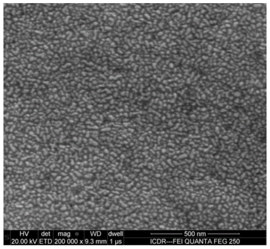 Preparation method of potassium-sodium niobate-barium zirconate-sodium bismuth titanate lead-free piezoelectric film with vertical phase boundary