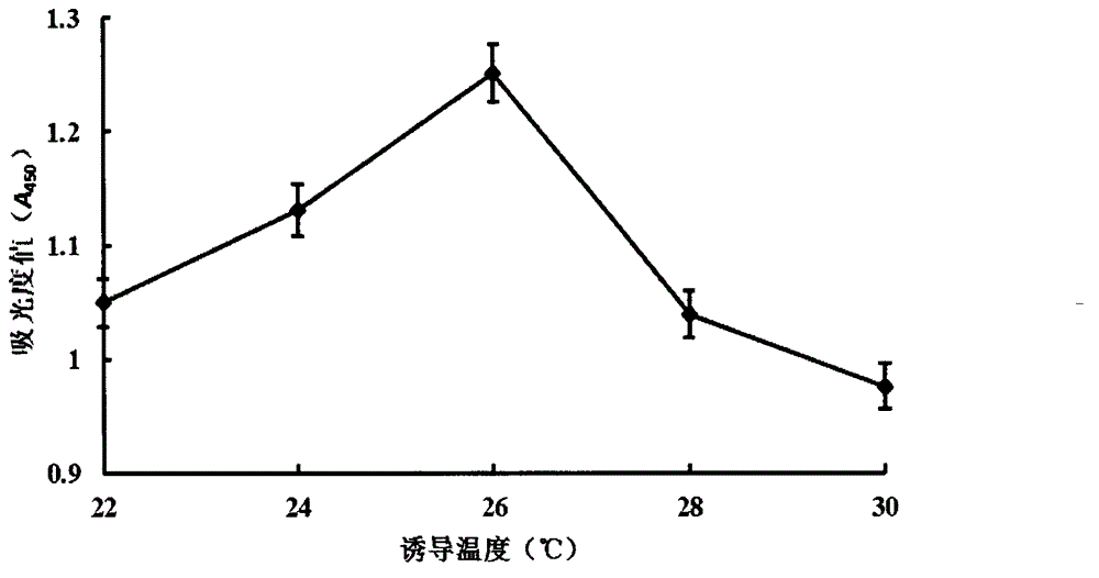 Indirect ELISA method for detecting recombinant human interleukin-29 in fermentation liquor