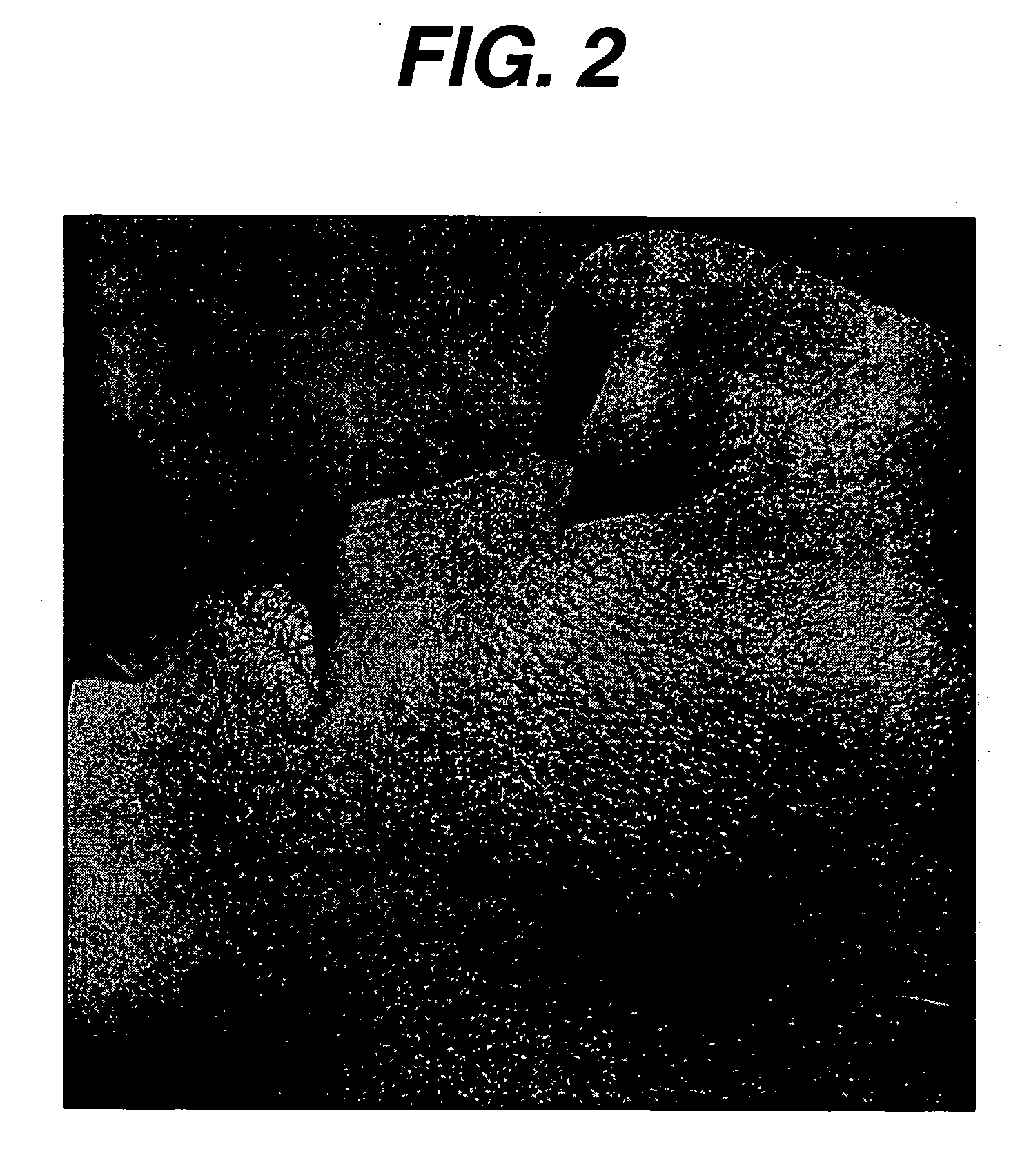 Device and method for demonstrating and quantifying skin texture