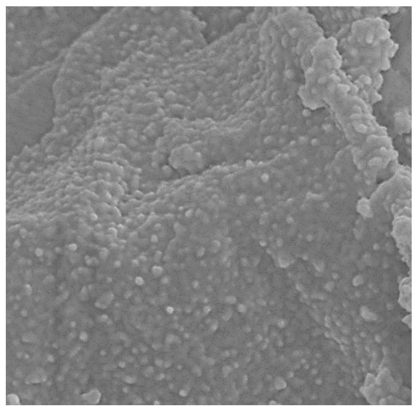 Preparation method of graphene oxide water treatment membrane capable of generating surface nanobubbles in situ