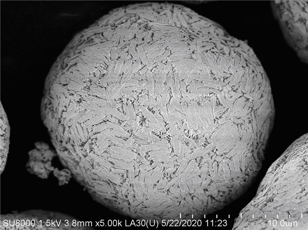 A doped basic cobalt carbonate/cobalt carbonate composite precursor and its preparation method and application