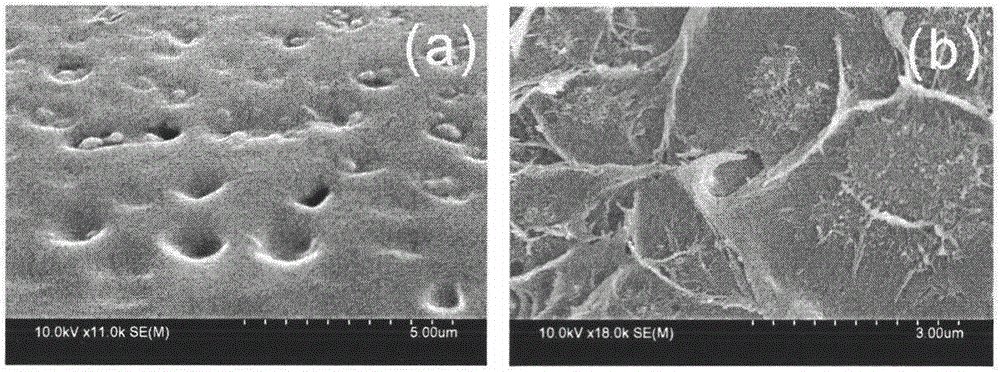 Preparation method of carboxylated carbon nanotube and PS (polystyrene) composite material