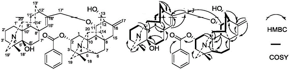 Diterpenoid alkaloid compounds in Aconitum naviculare as well as preparation method and application of diterpenoid alkaloid compounds