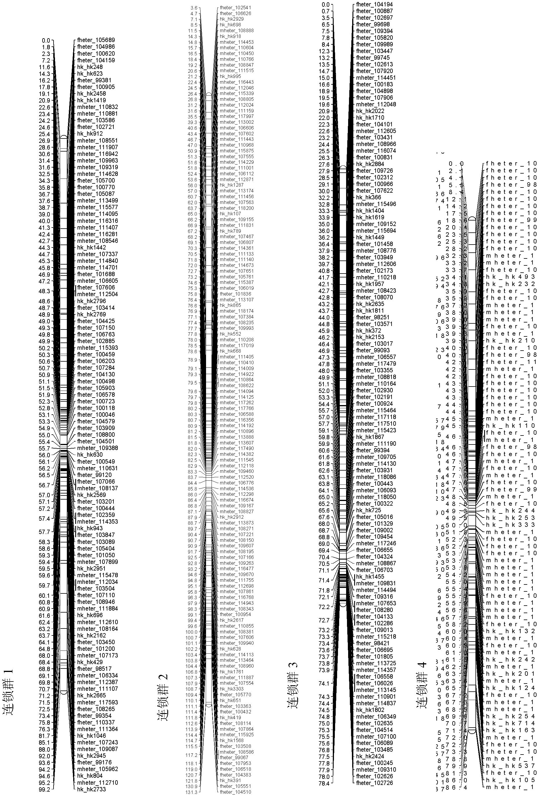 Plum blossom genetic map construction method