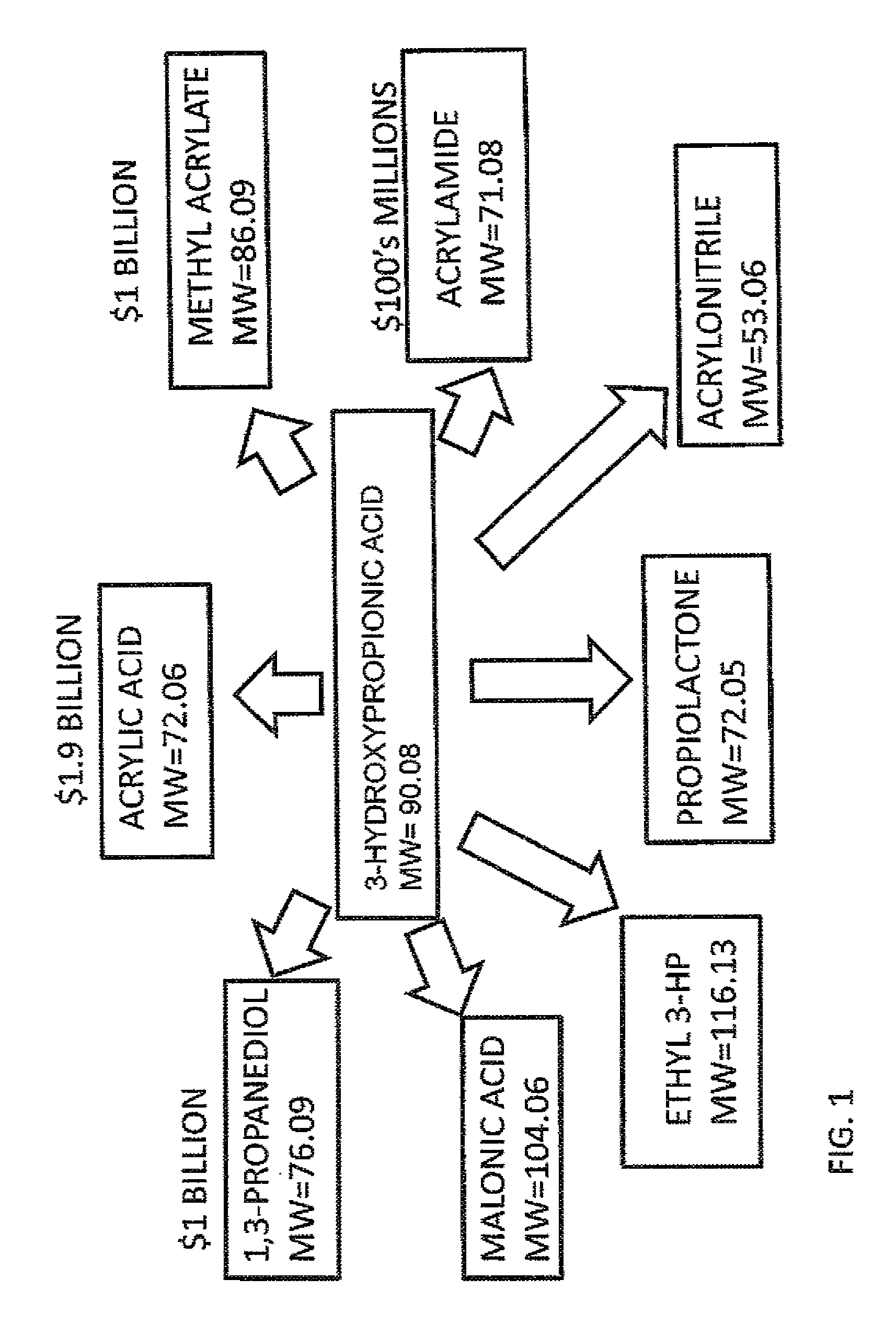 Compositions and methods for 3-hydroxypropionate bio-production from biomass