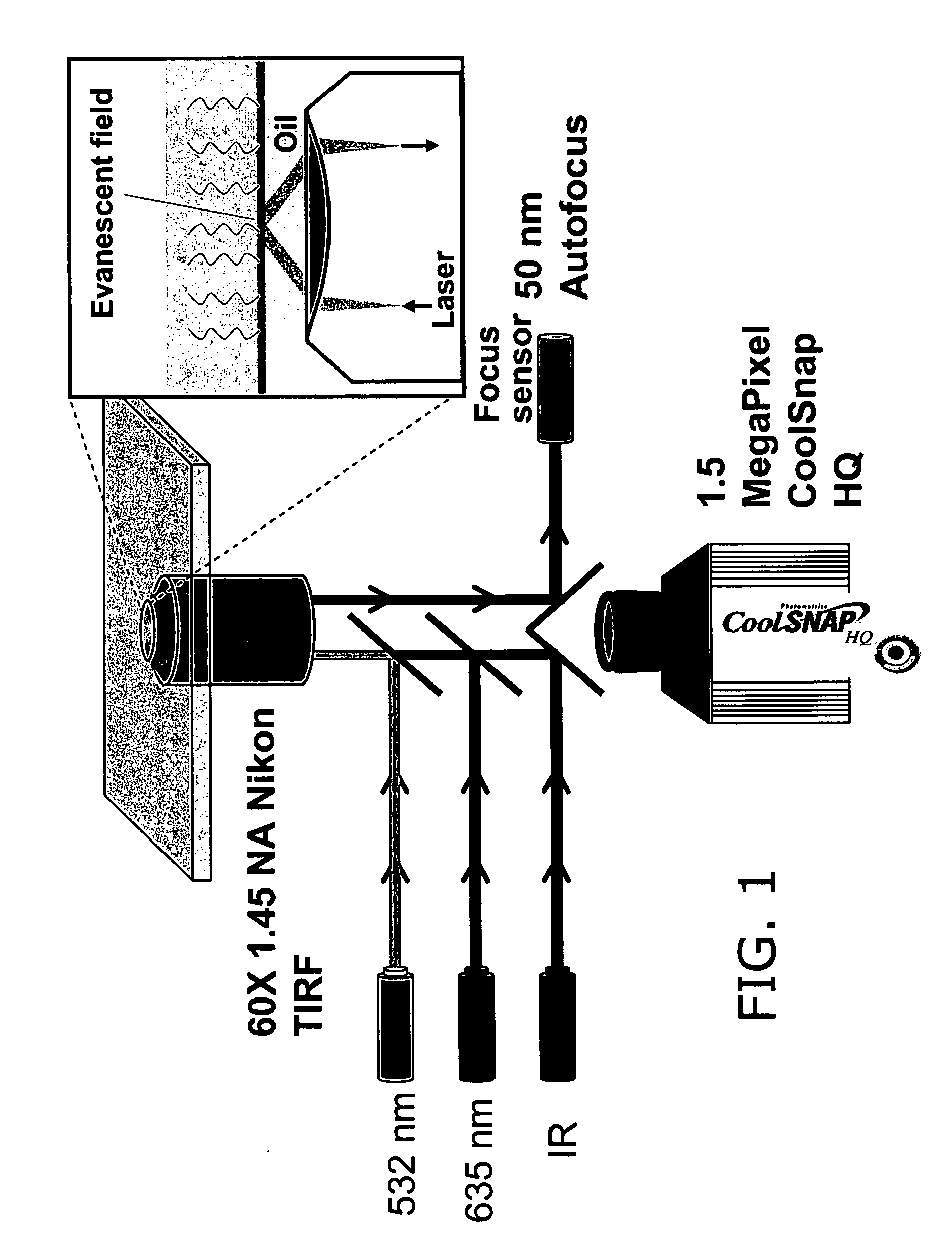 Sample preparation method and apparatus for nucleic acid sequencing