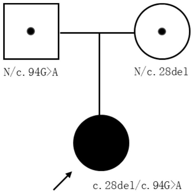 DNA library for detecting and diagnosing pathogenesis genes of congenital thyroid diseases and application of DNA library