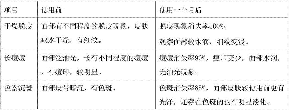 Caulis dendrobii multi-effect stock solution and production method thereof