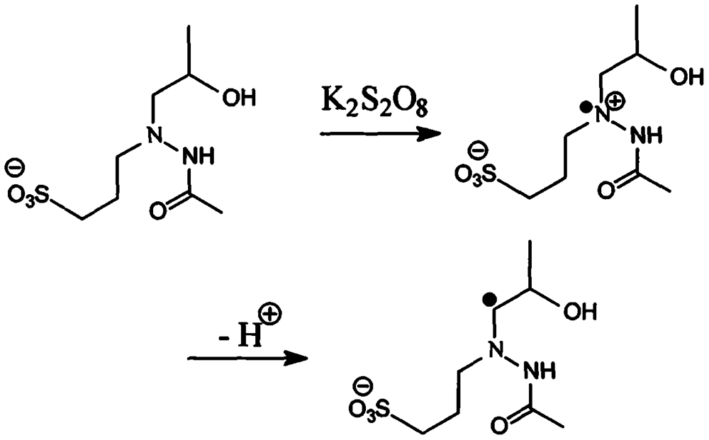 A kind of gemini type hydrazide anion initiator and its preparation and use method