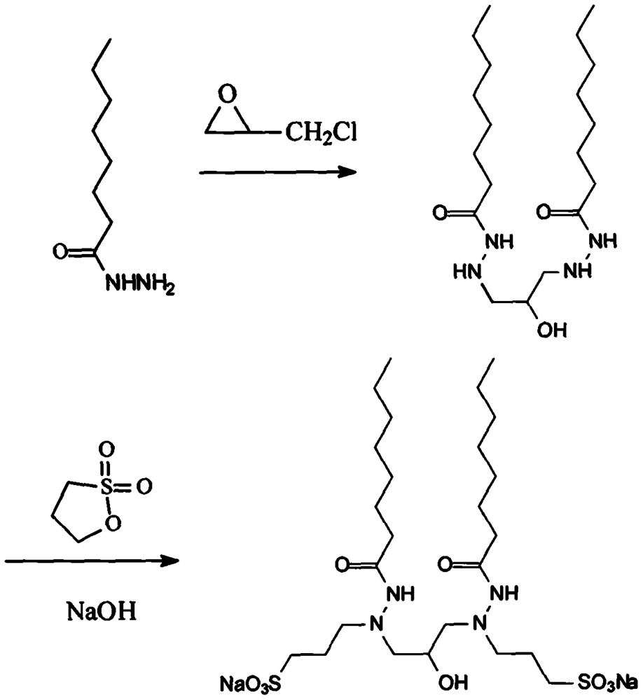 A kind of gemini type hydrazide anion initiator and its preparation and use method