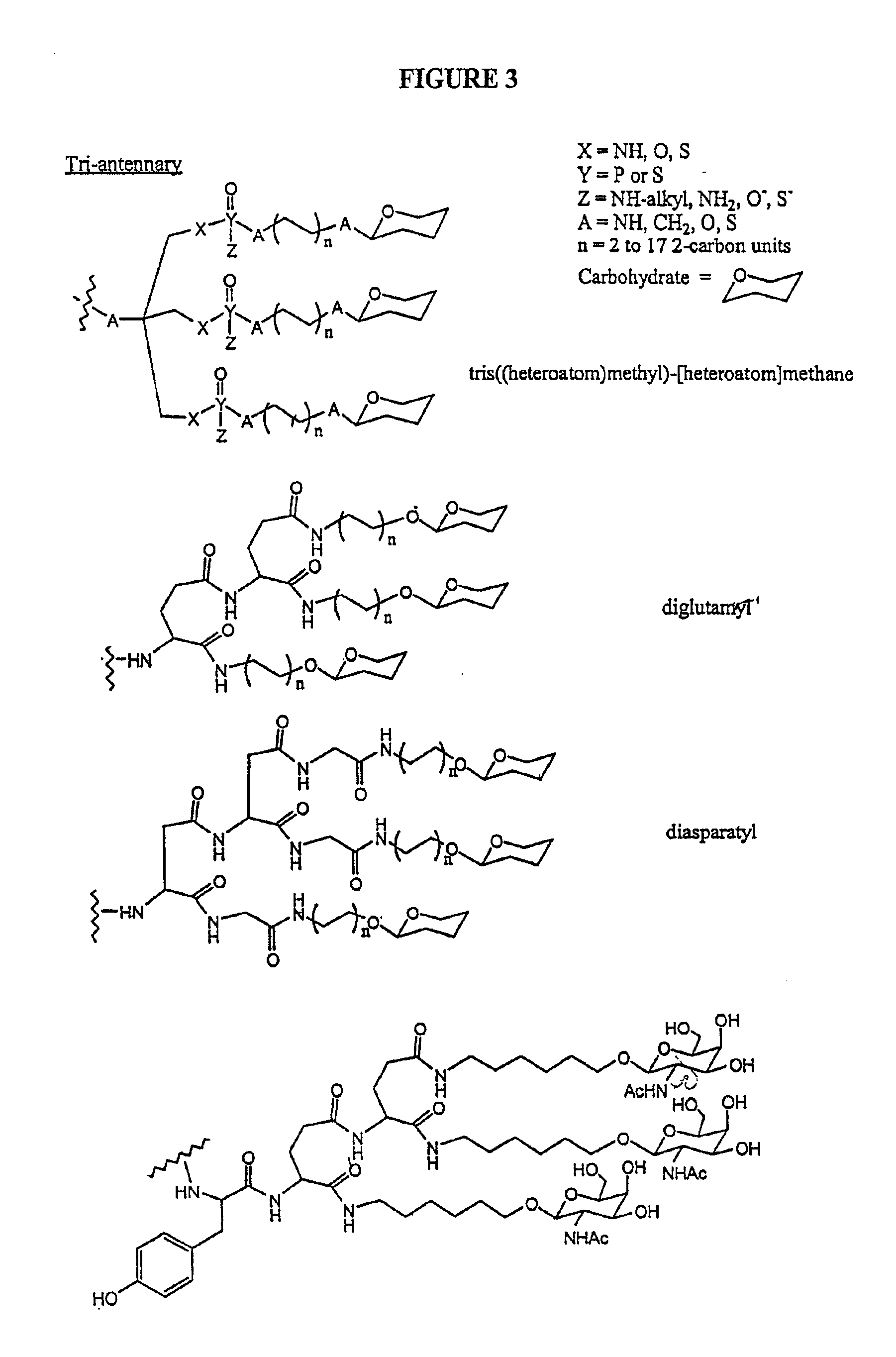 Conjugates of glycosylated/galactosylated peptide, bifunctional linker, and nucleotidic monomers/polymers, and related compositions and method of use