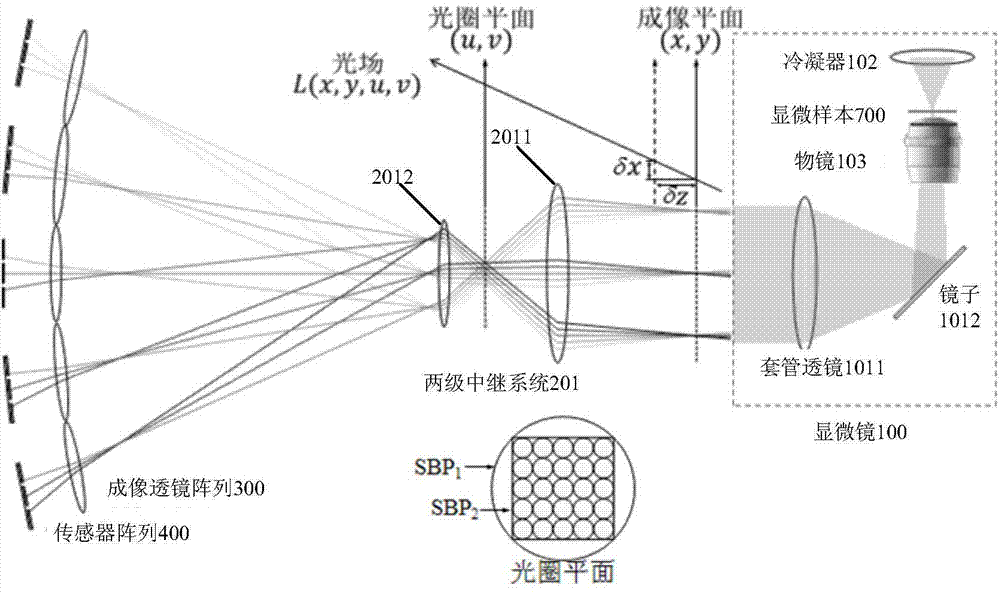 Camera array-based light field microscopic imaging system and method