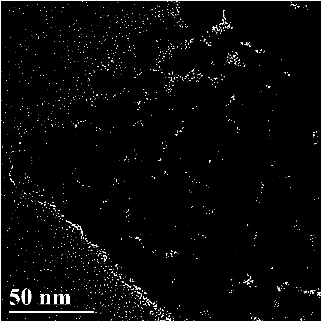 Porous and high-specific-surface-area bismuth-nanoparticle-modified nitrogen-doped carbon nanosheet material and a preparation method and application thereof