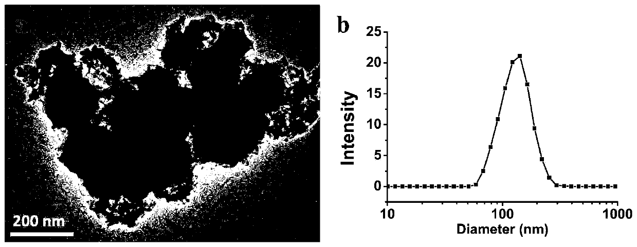 Single light-activated nano particle and preparation method and application thereof