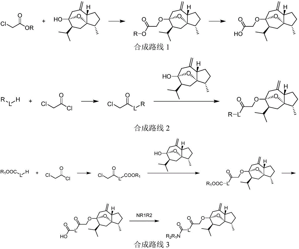 Curcumol derivatives with anti-tumor activity, and preparation method and application of curcumol derivatives