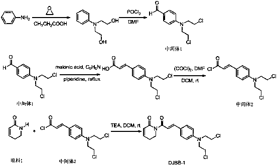 Application of Nitrogen mustardyl perylene amide compounds in medicine