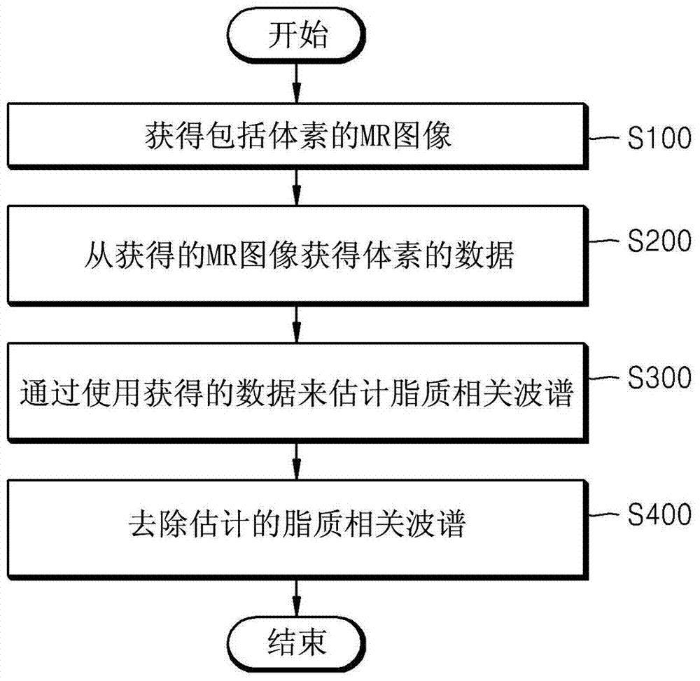Method and apparatus for removing distortion by lipids from magnetic resonance spectroscopic image