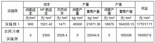 A kind of non-point source pollution prevention and control cultivation method of vineyard