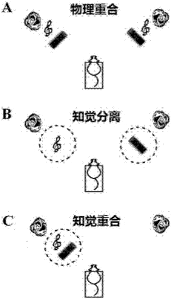 Auditory attention PPI adjustment system