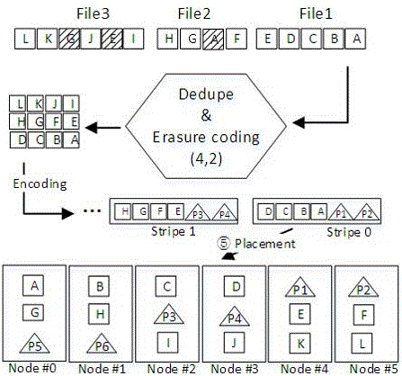 Continuous data reading oriented data placement method of deduplication and erasure correcting combined system