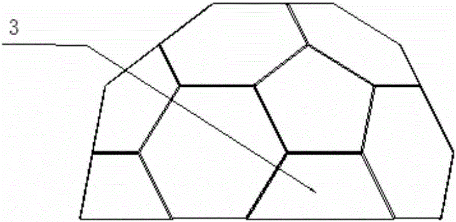 Transparent field observation device