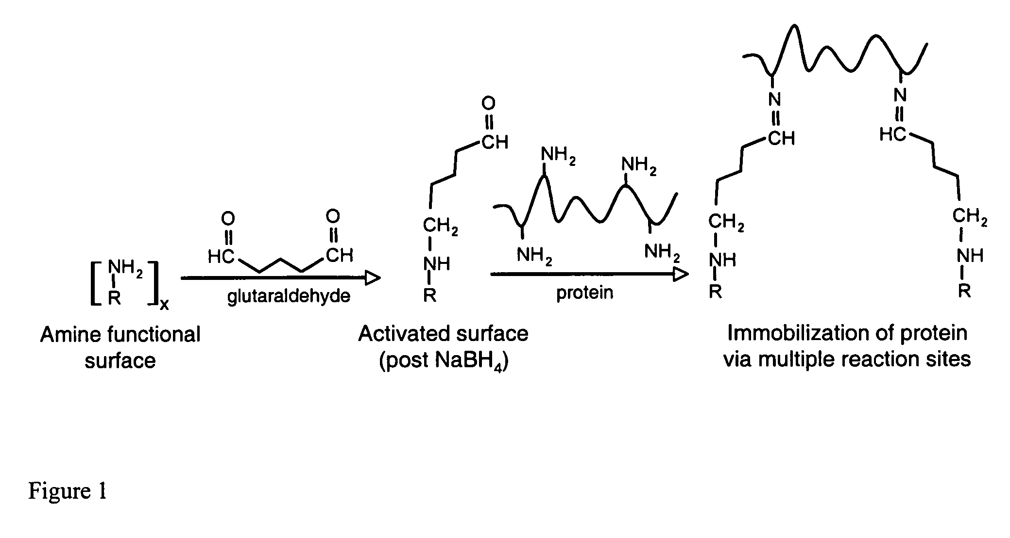 Affinity membrane for capture of a target biomolecule and formation thereof by site-directed immobilization of a capture biomolecule