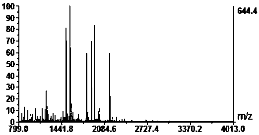 Functional gel and preparation method thereof