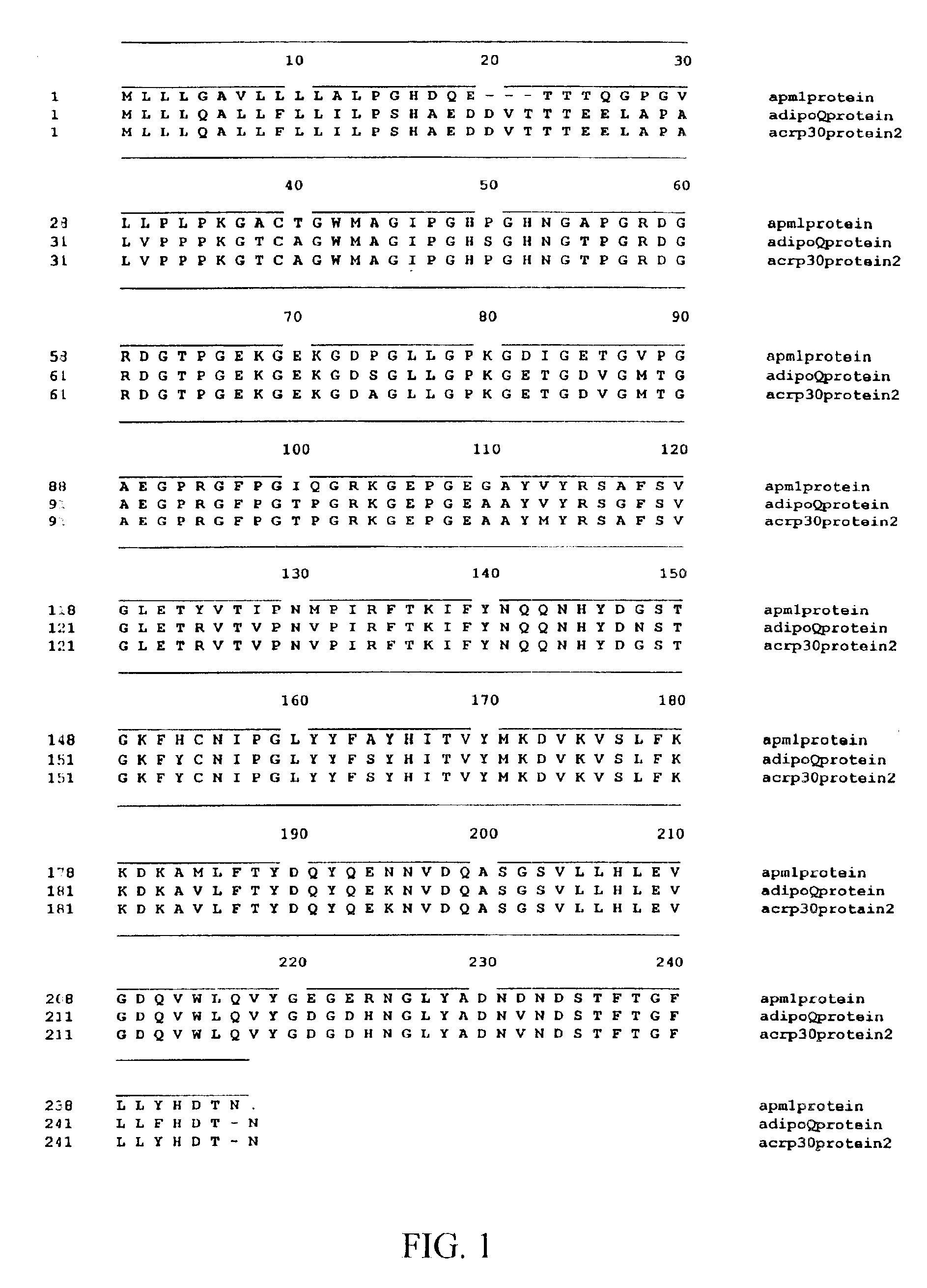 OBG3 globular head and uses thereof for decreasing body mass