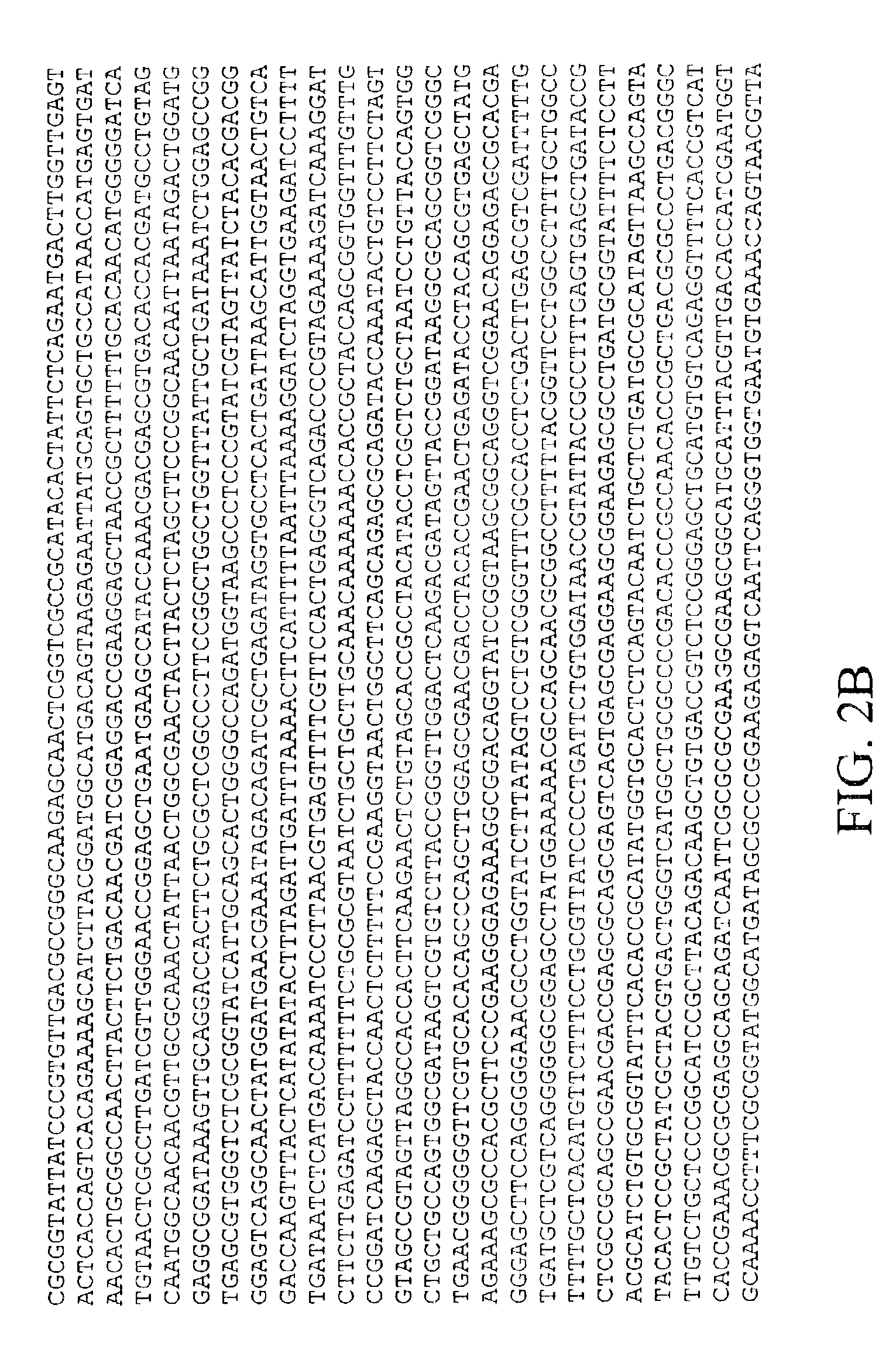 OBG3 globular head and uses thereof for decreasing body mass