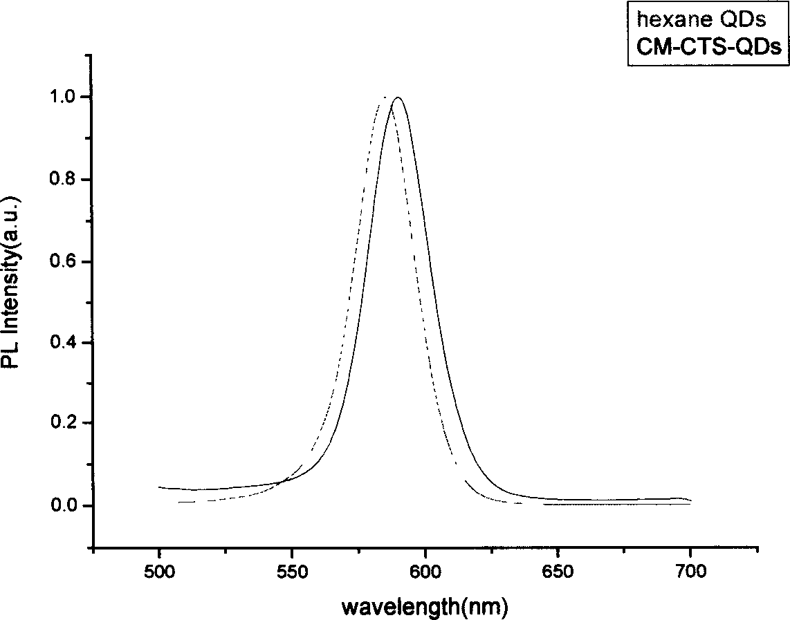 Method for preparing water-soluble quantum point of biological functionalized sugar